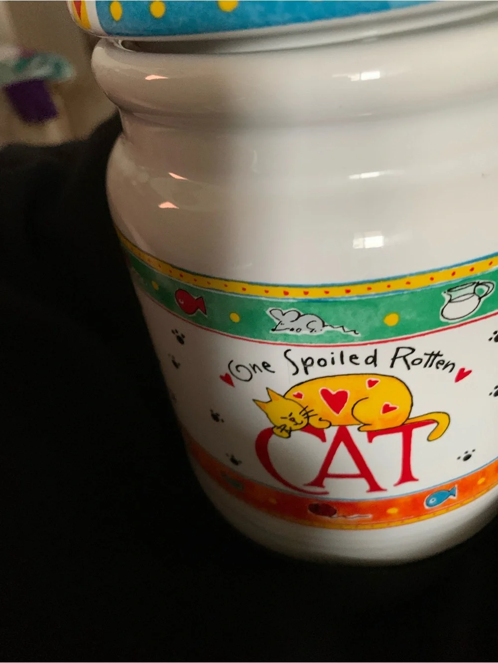 One Spoiled Rotten Cat Treat Canister